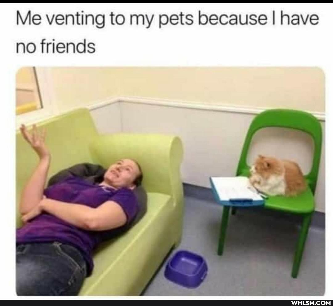 Me venting to my pets because I have no friends