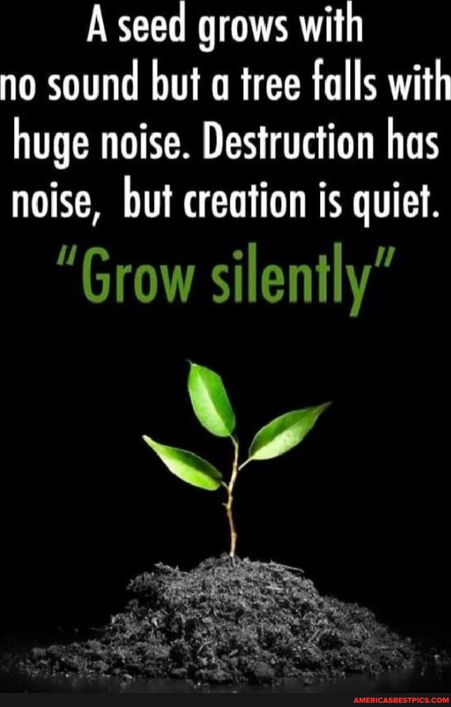 A seed grows with no sound but a tree falls with huge noise ...