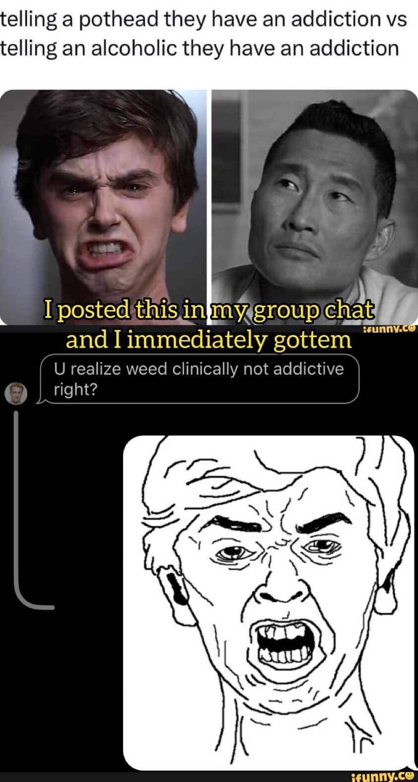 Telling a pothead they have an addiction vs elling an alcoholic they