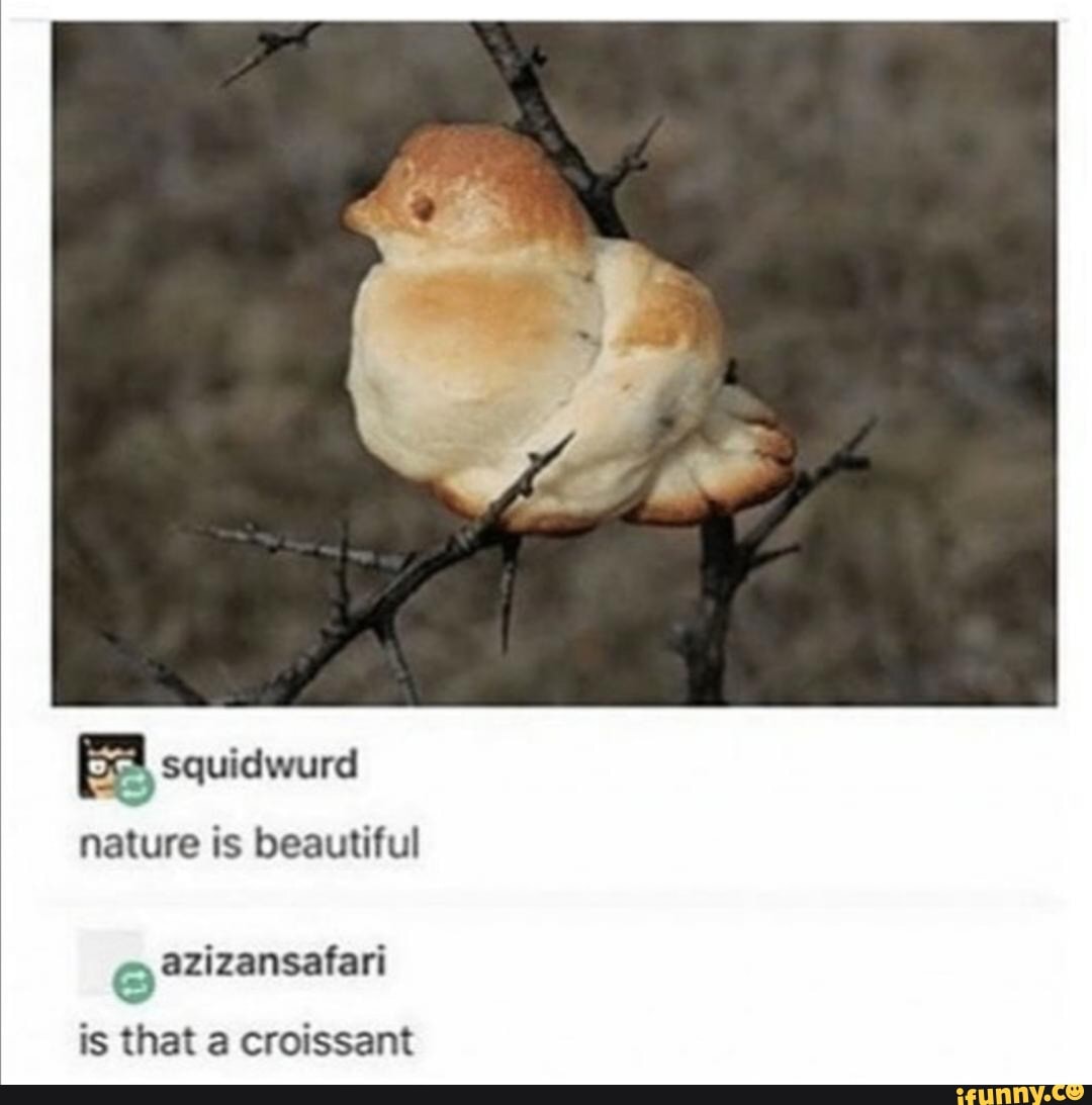 nature is beautiful azizansafari
is that a croissant