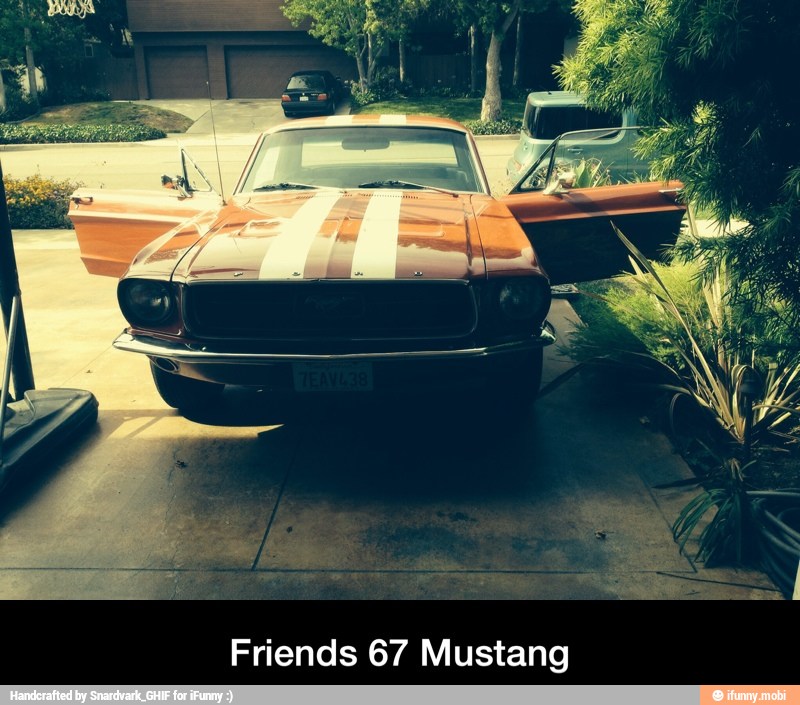 Friends 67 Mustang - Friends 67 Mustang
