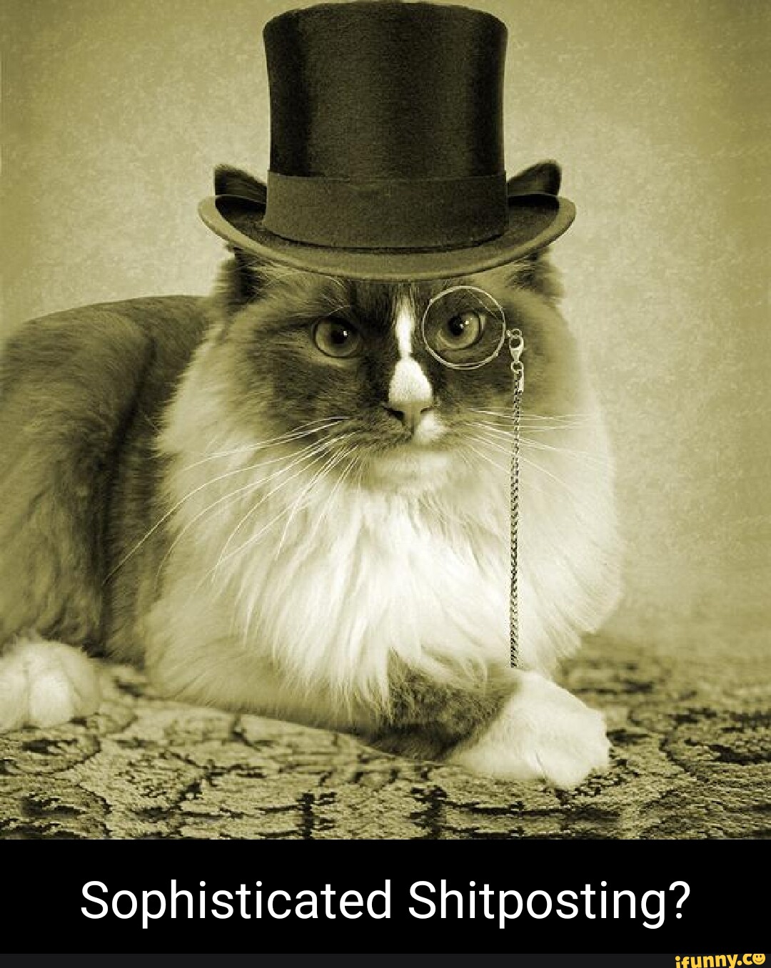 Кот джентльмен. Кот в цилиндре. Кот интеллигент. Кошка в шляпе.