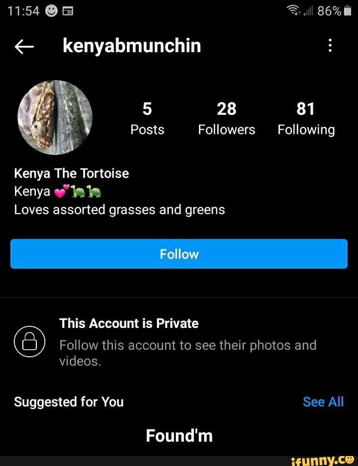 kenyabmunchin
all
28 81
Posts Followers Following
Kenya The Tortoise
Kenya
Loves assorted grasses and greens
I Follow
This Account is Private
Follow this account to see their photos and videos
Suggested for You See All
Found'm - Found'm