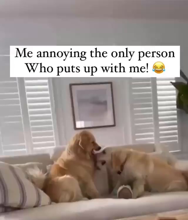 Me annoying the only person Who puts up with me! - iFunny