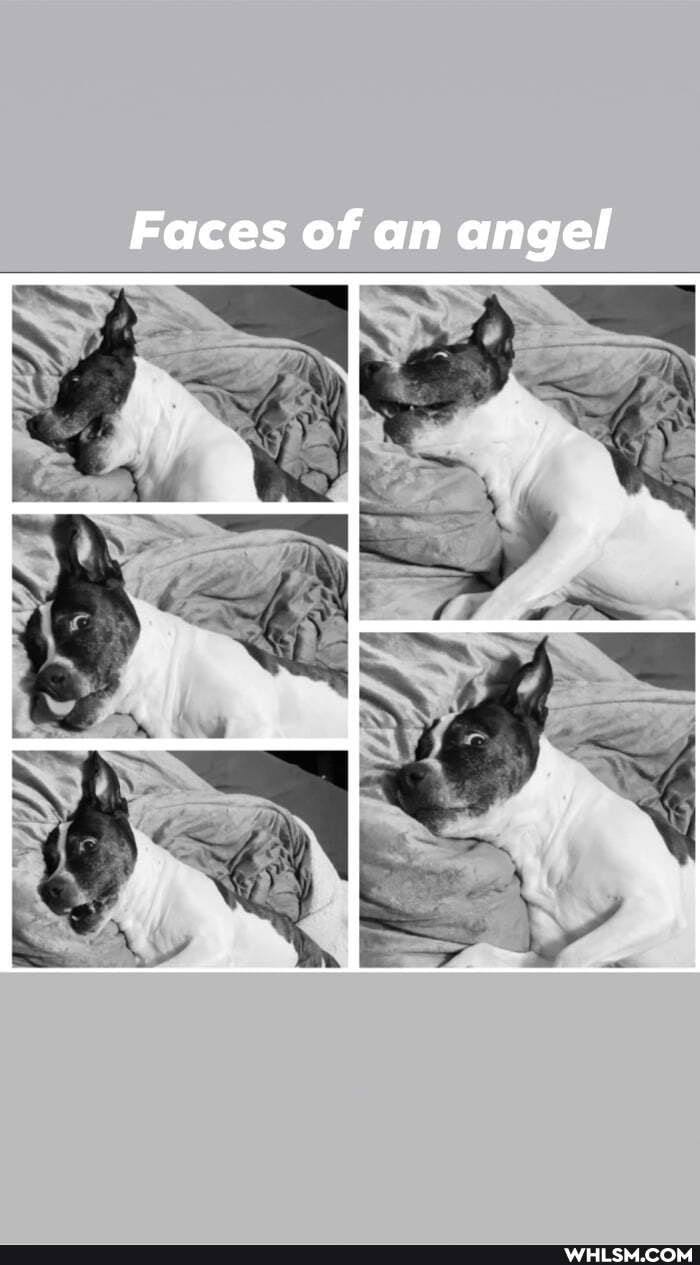 Faces of an angel