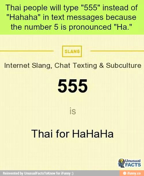 Chat 555