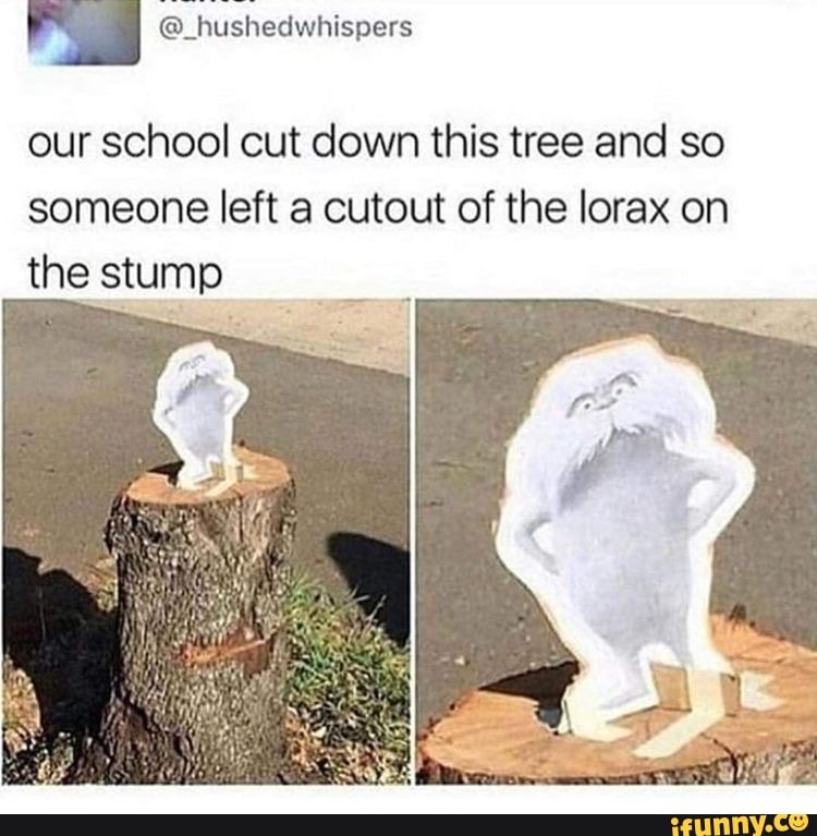 @_hushedwhispers our school cut down this tree and so someone left