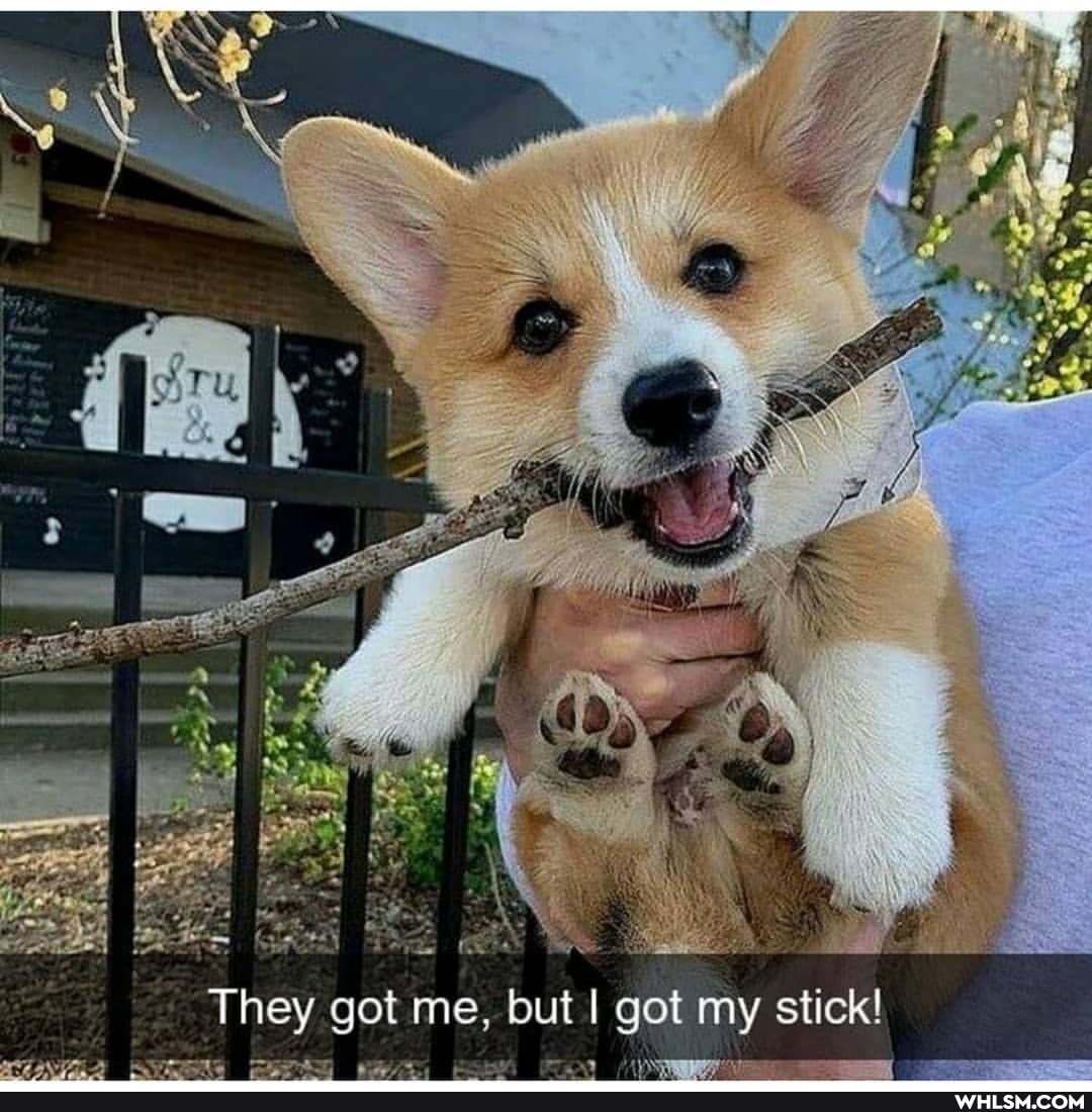 They got me, but got my stick!
