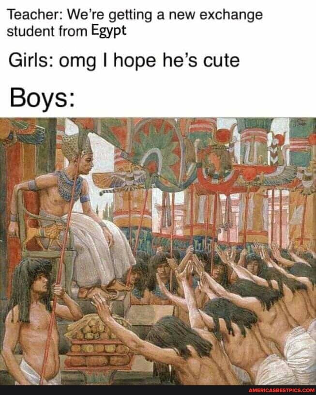 Teacher: We're getting a new exchange student from Egypt
Girls: omg I hope he's cute
Boys: