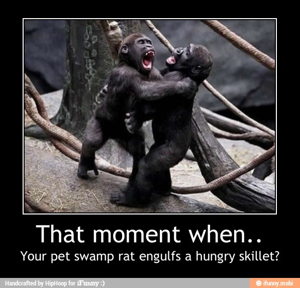 That moment when.
Your pet swamp rat engulfs a hungry skillet? - That moment when..
Your pet swamp rat engulfs a hungry skillet?