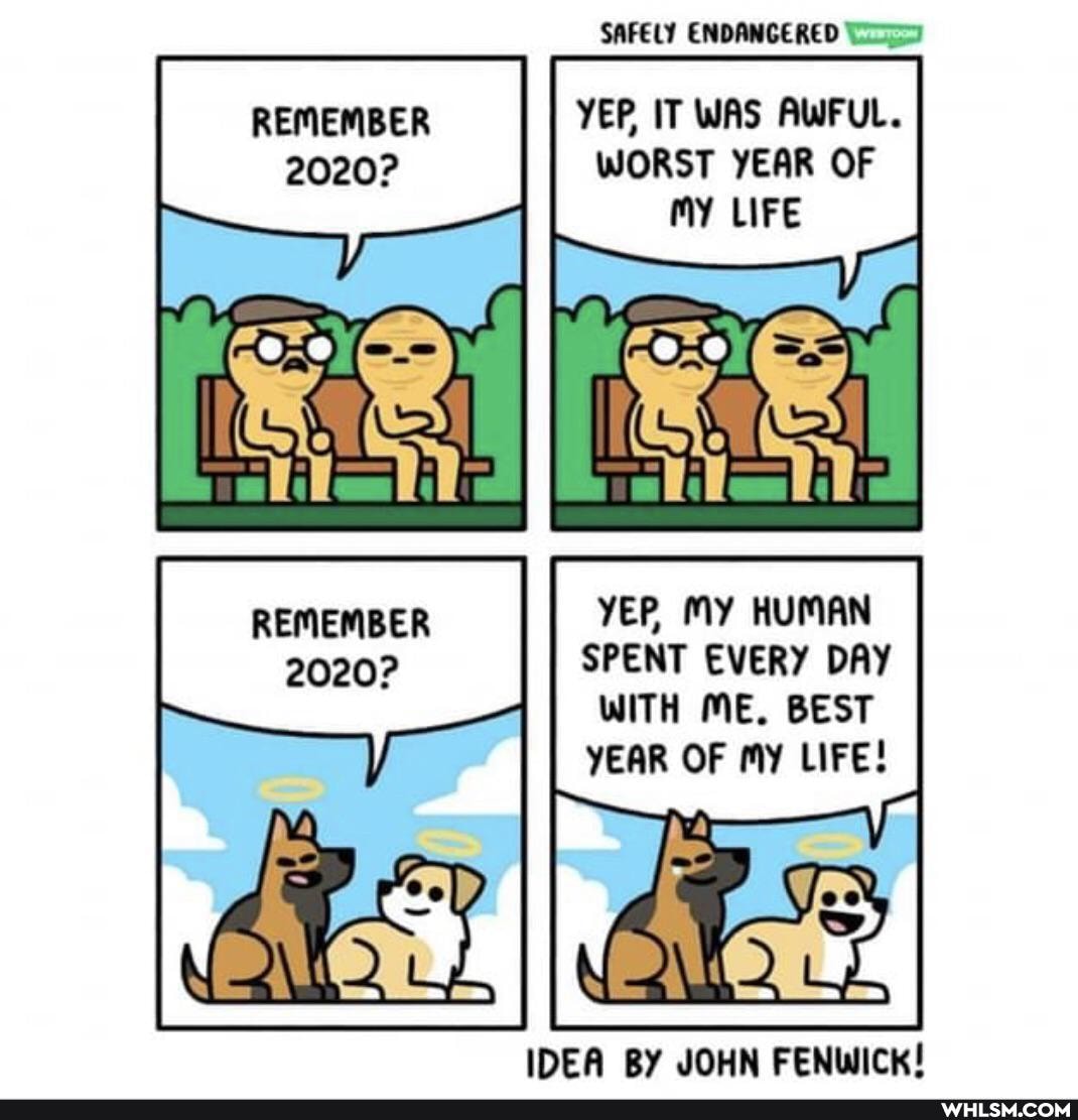 SAFELY ENDANGERED
REMEMBER YEP, IT WAS AWFUL.
2020?
WORST YEAR OF LIFE
II
YEP, MY HUMAN SPENT EVERY DAY WITH ME. BEST YEAR OF my LIFE!
IDEA BY JOHN FENWICK!