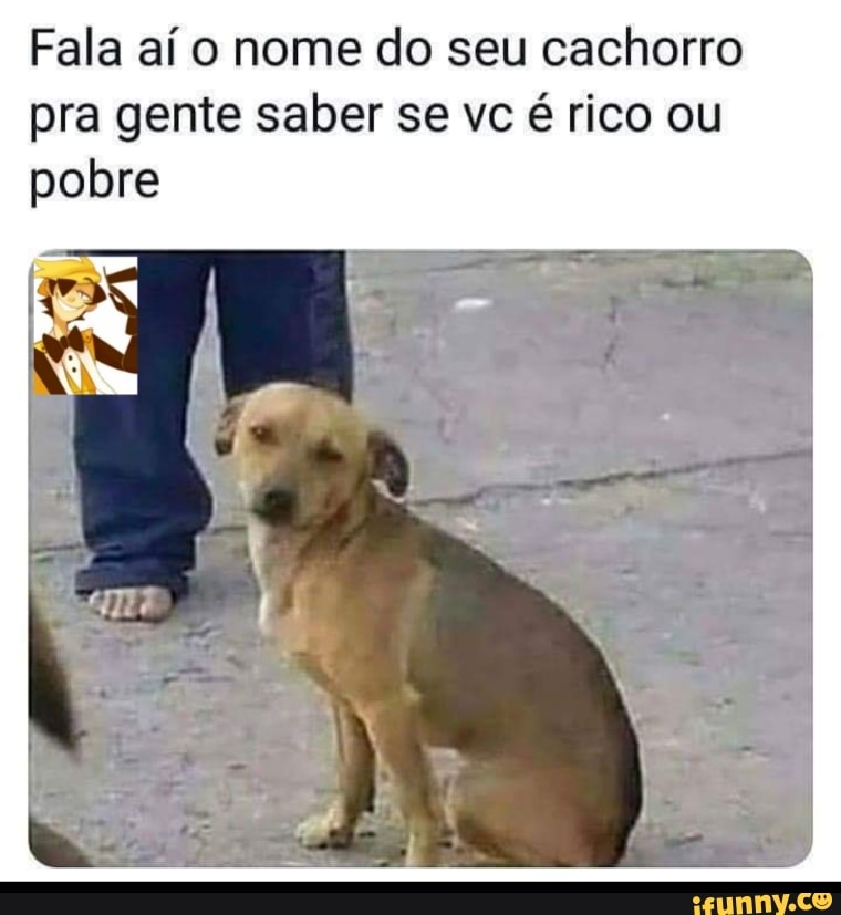 Fala aí o nome do seu cachorro
pra gente saber se vc é rico ou