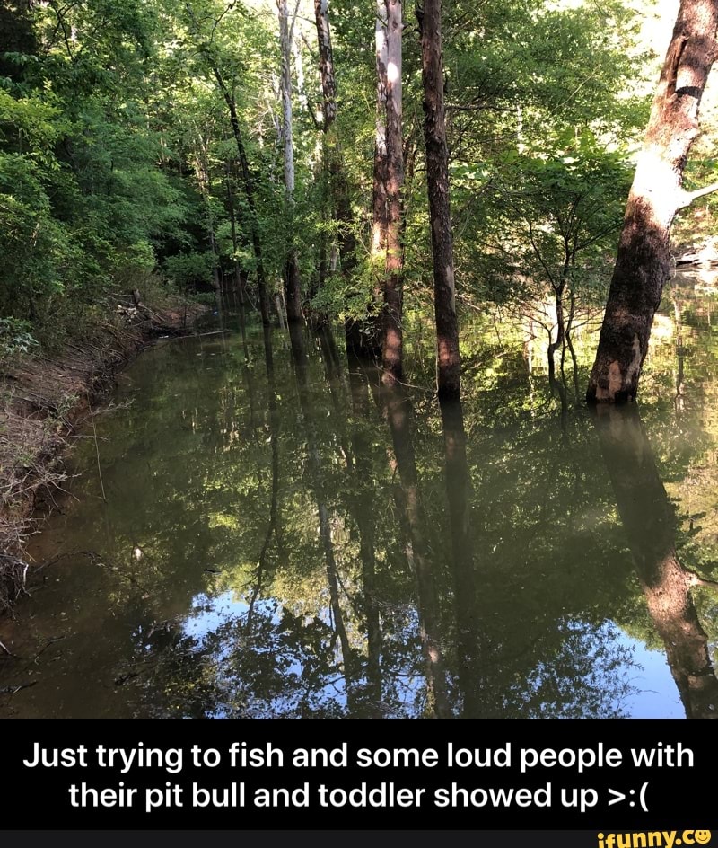 Just trying to fish and some loud people with
their pit bull and toddler showed up - Just trying to fish and some loud people with their pit bull and toddler showed up >:(