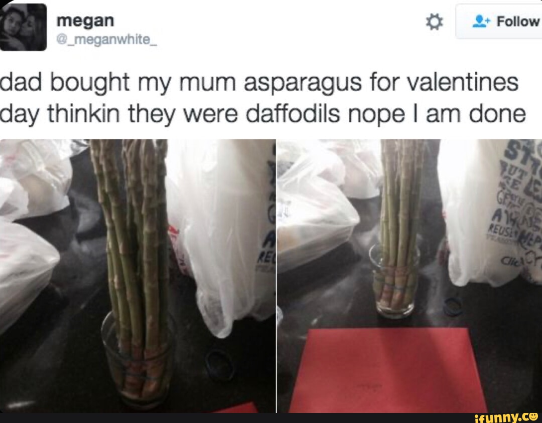 Daffodils memes. Best Collection of funny Daffodils pictures on iFunny