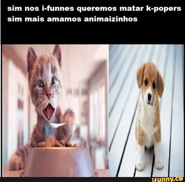 sim nos i-funnes queremos matar k-popers
sim mais amamos animaizinhos