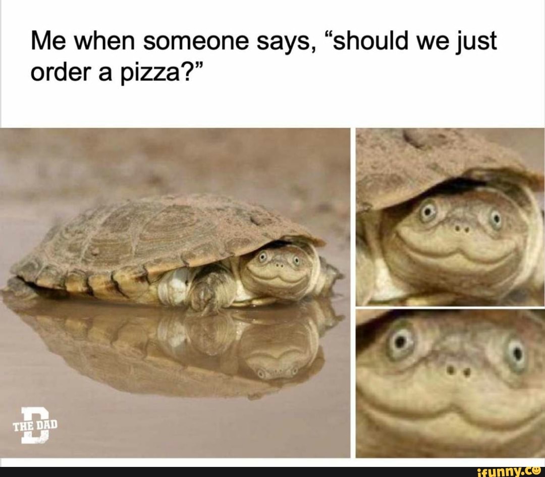 Me when someone says, "should we just
order a pizza?"