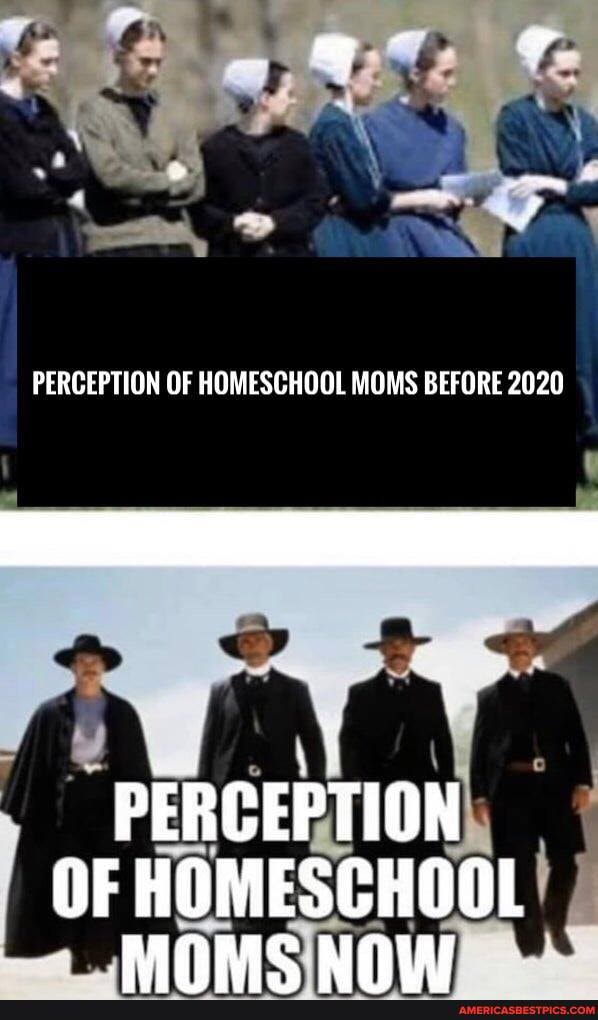 PERCEPTION OF HOMESCHOOL MOMS BEFORE 2020
PERCEPTION OF HOMESCHOOL MOMS NNUI