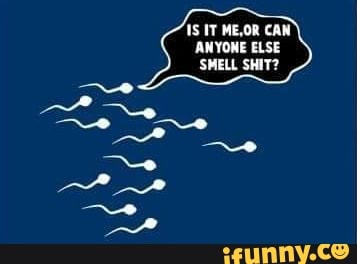 IS IT ME,OR CAN
ANYONE ELSE
'SMELL SHIT?
- "ss