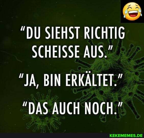 "DU SIEHST RICHTIG RI SCHEISSE AUS."
"JA, BIN ERKÄLTET."
"DAS AUCH NOCH."