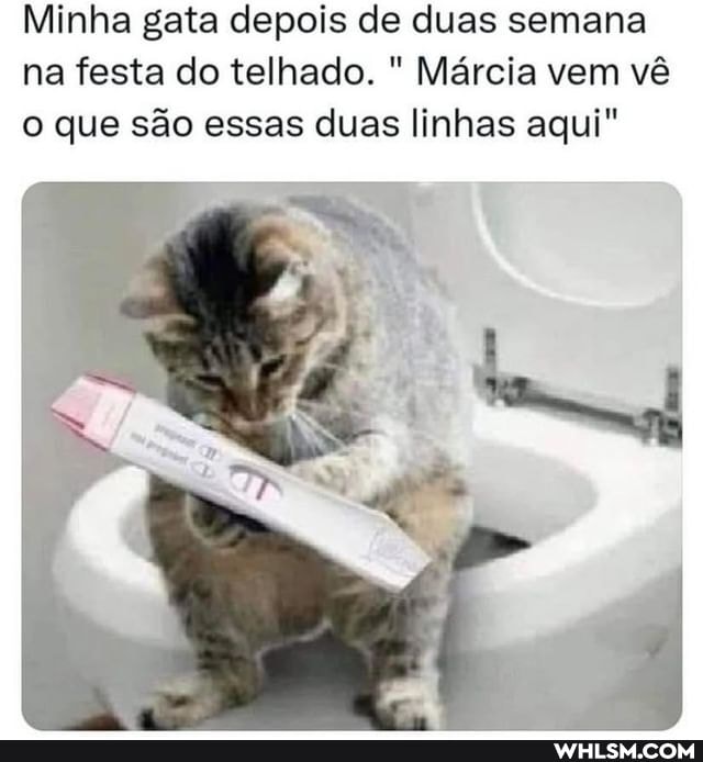 Linhas memes. Best Collection of funny Linhas pictures on WHLSM
