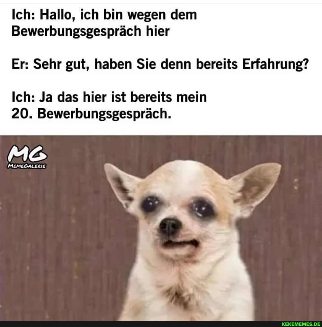 Ich: Hallo, ich bin wegen dem
Bewerbungsgespräch hier
Er: Sehr gut, haben Sie denn bereits Erfahrung?
Ich: Ja das hier ist bereits mein
20. Bewerbungsgespräch.
