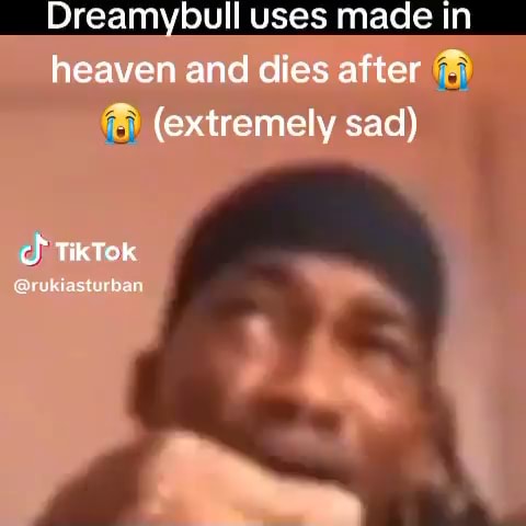 Dreamybull uses made in heaven and dies after (extremely sad) ch Tik Tok -  iFunny