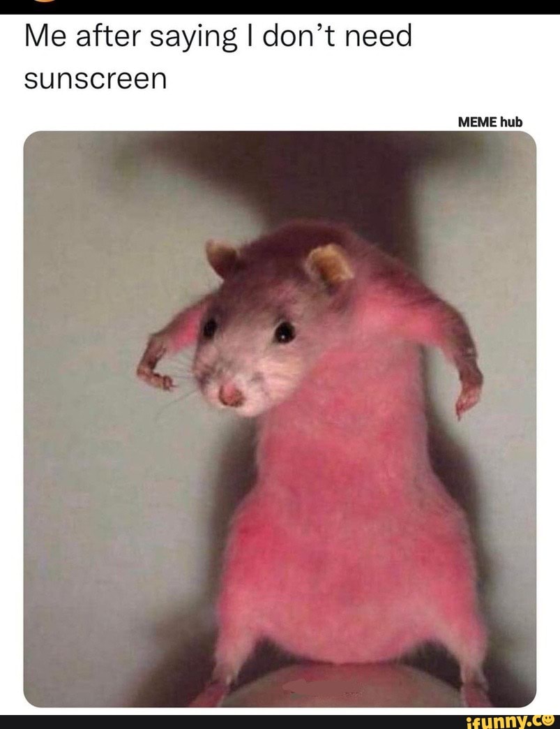 me-after-saying-i-don-t-need-sunscreen-meme-hub-ifunny