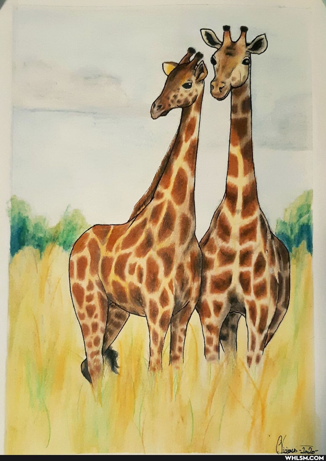 art, painting, drawing, watercolor