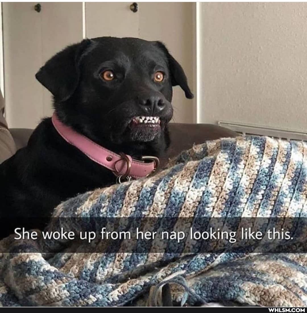PA
She woke up from herna