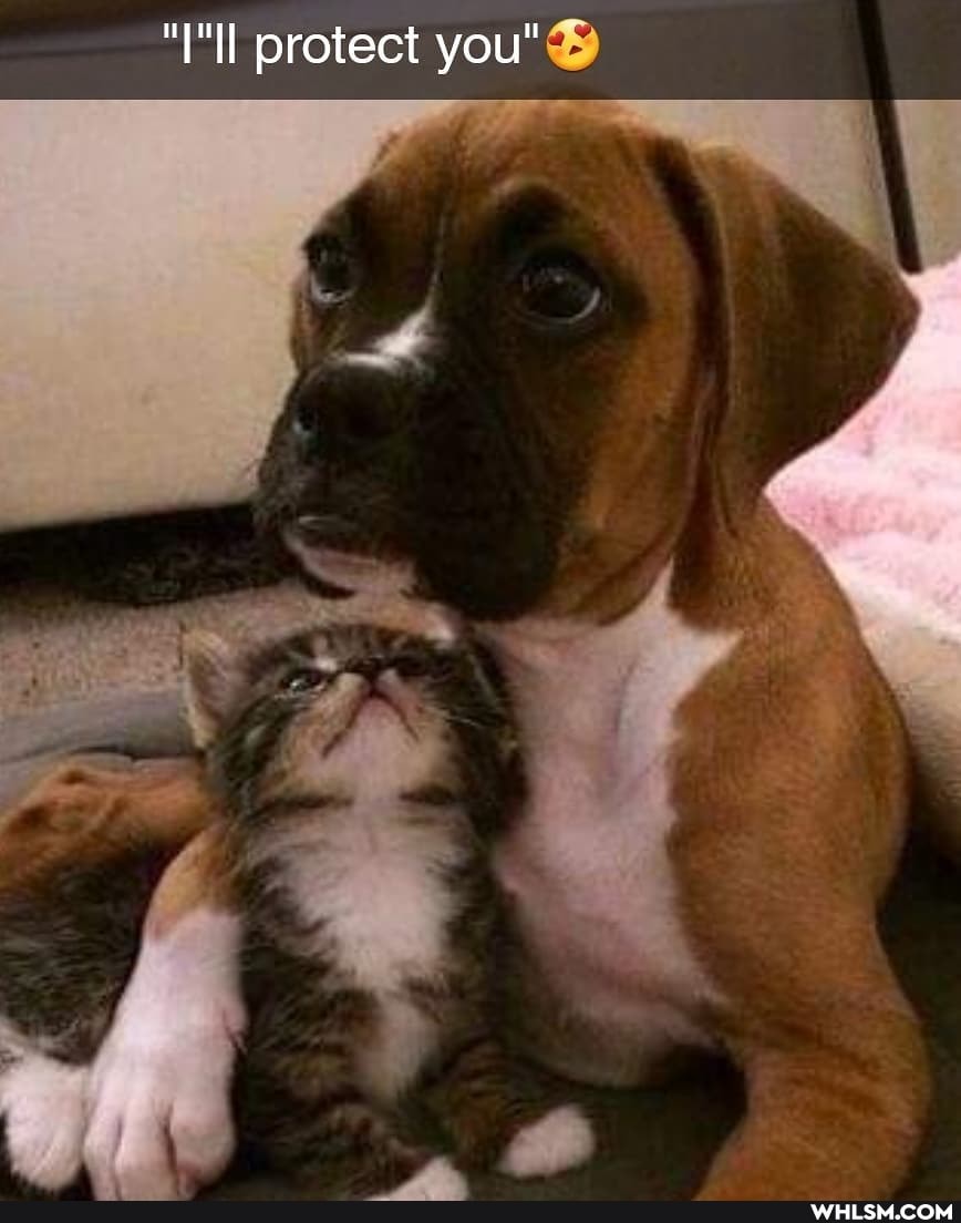 protect you" es)
