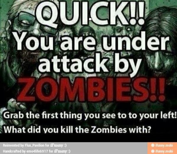 "Grab the first thing you see to to your left!
'What did vou kill the Zombies with?