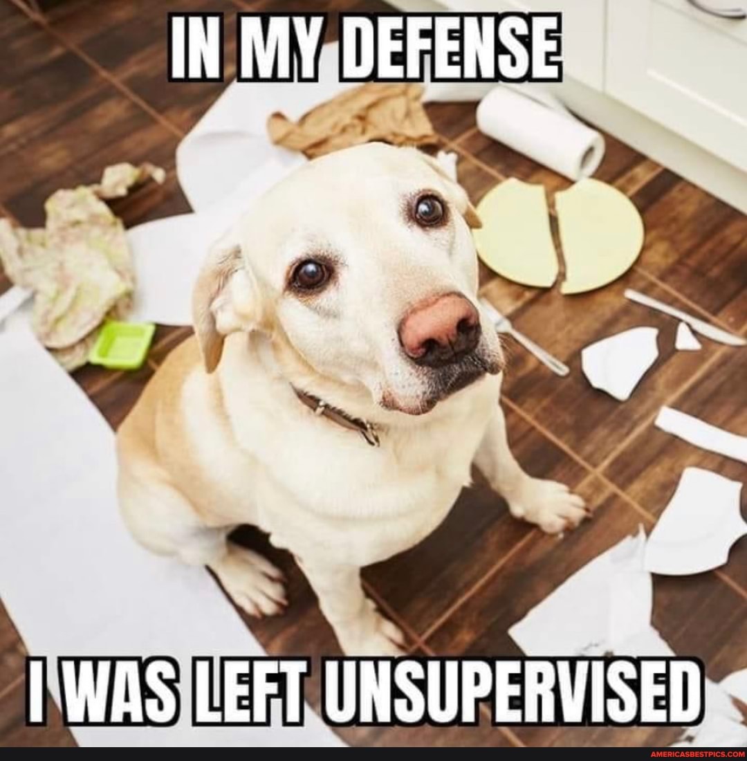 IN MY DEFENSE
I WAS LEFT UNSUPERVISED