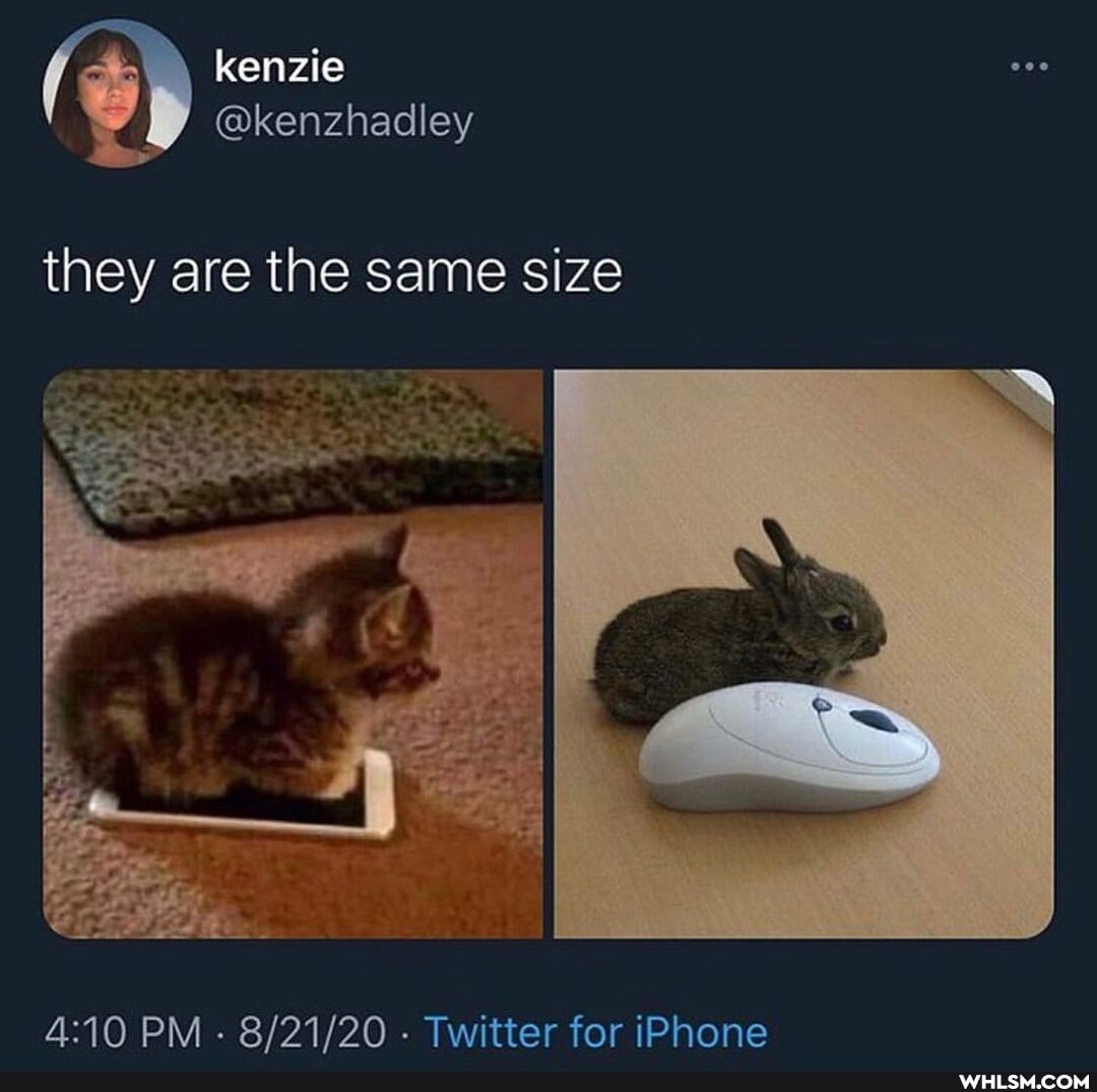 kenzie
they are the same size
PM - - Twitter for iPhone