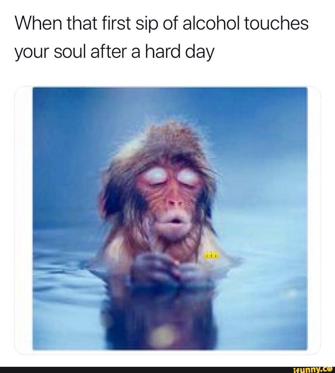 When That First Sip Of Alcohol Touches Your Soul After A Hard Day Ifunny