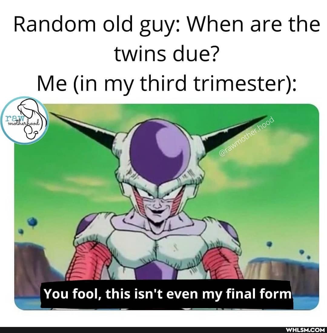 Random old guy: When are the twins due?
Me (in my third trimester):
You fool, this isn't even my final form