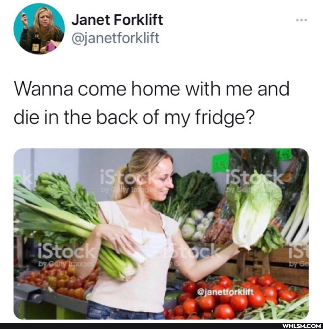 Janet
Wanna come home with me and die in the back of my fridge?
[Sto