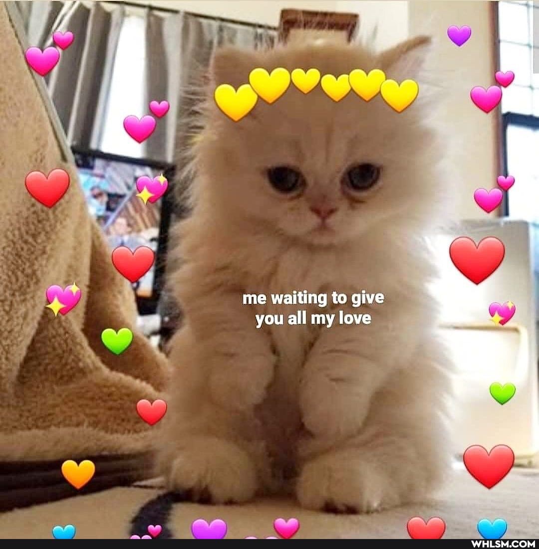 me waiting to give you all my love
OR