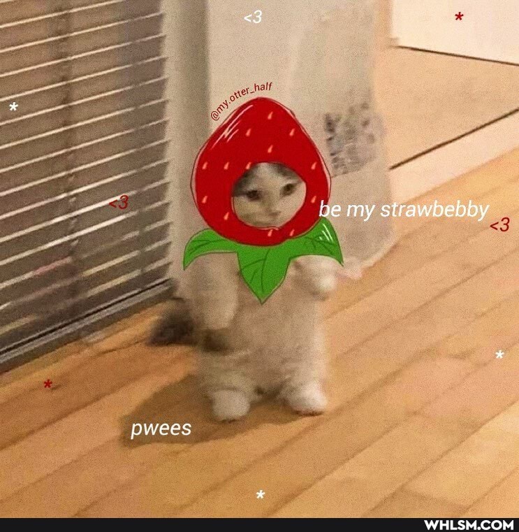 <3
be my strawbebby
pwees