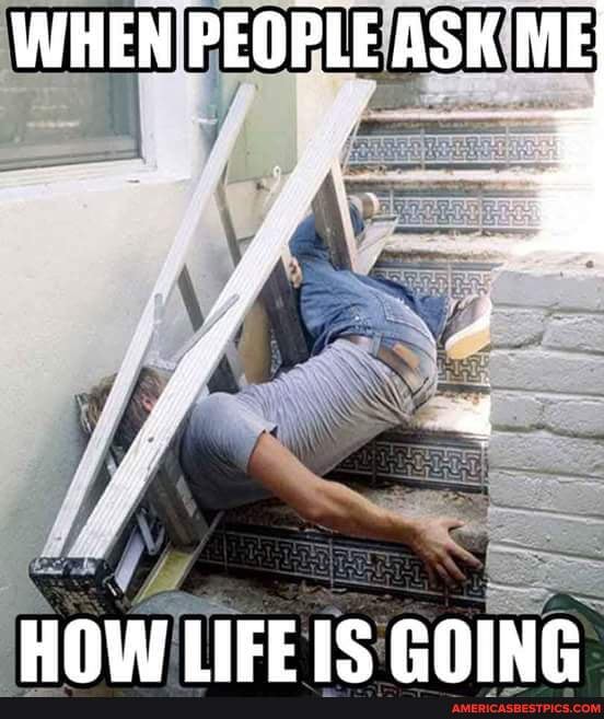 WHEN PEOPLE ASK ME;
HOWIEEIS RONG