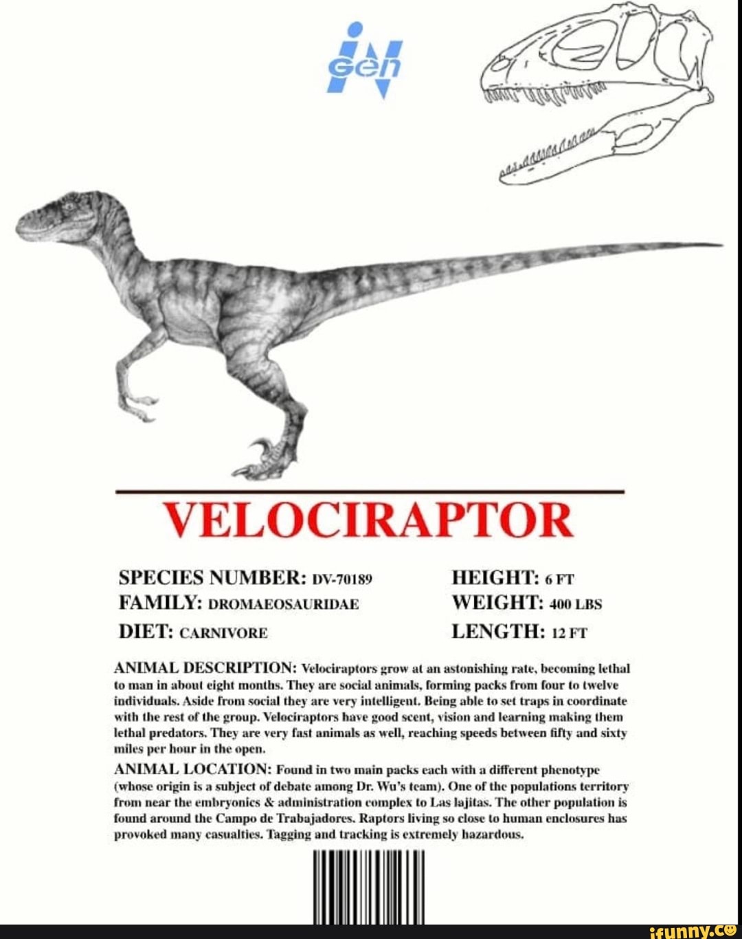 VELOCIRAPTOR SPECIES NUMBER py70189 HEIGHT 6 FAMILY pROMAEOSAURIDAE