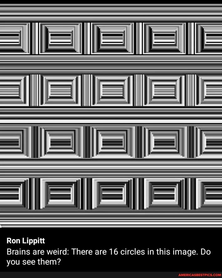 Ron Lippitt
Brains are weird: There are 16 circles in this image. Do you see them?