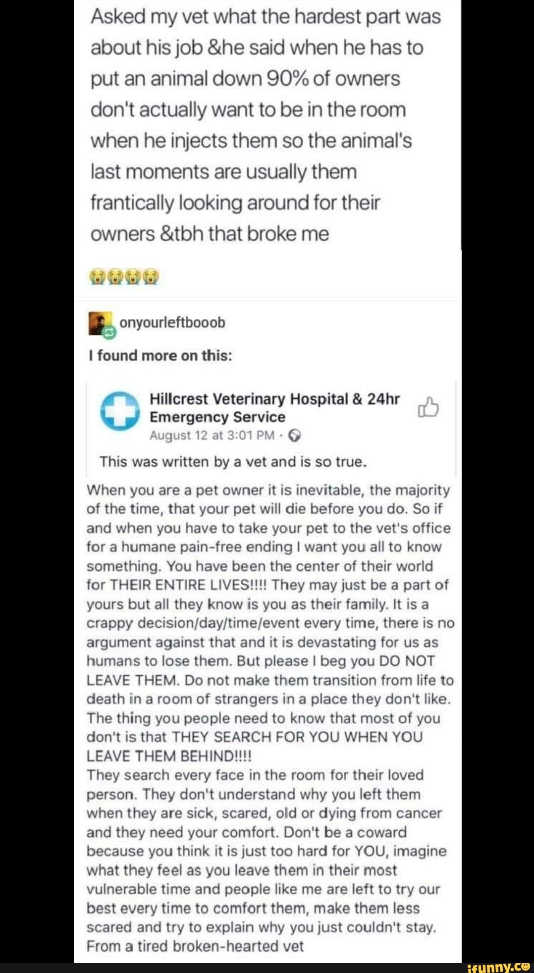 hillcrest veterinary hospital & 24hr emergency service