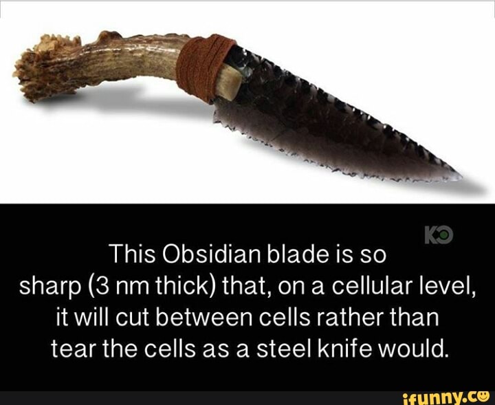 This Obsidian blade is so sharp (3 nm thick) that, on a cellular level