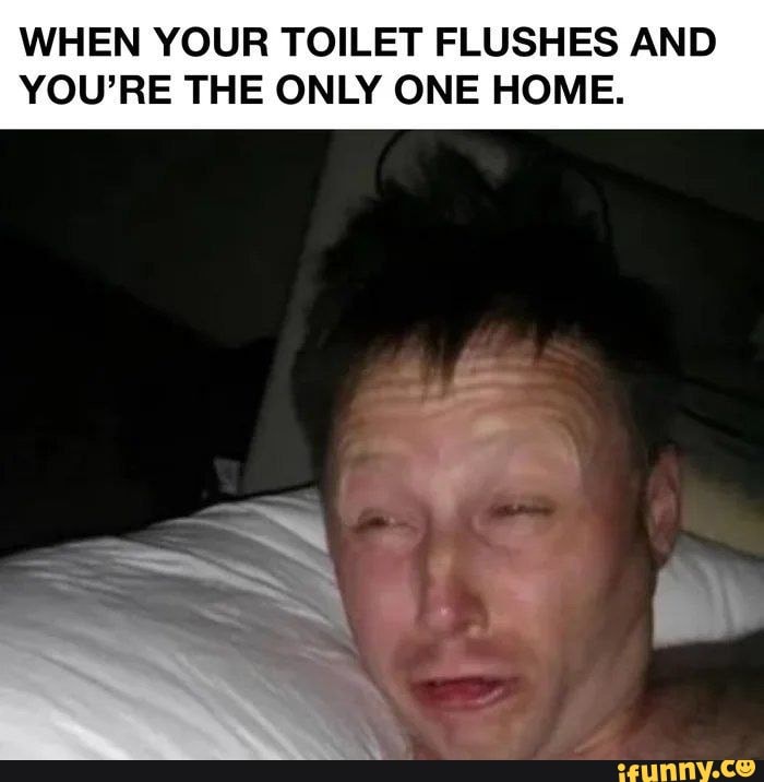 WHEN YOUR TOILET FLUSHES AND YOU'RE THE ONLY ONE HOME.