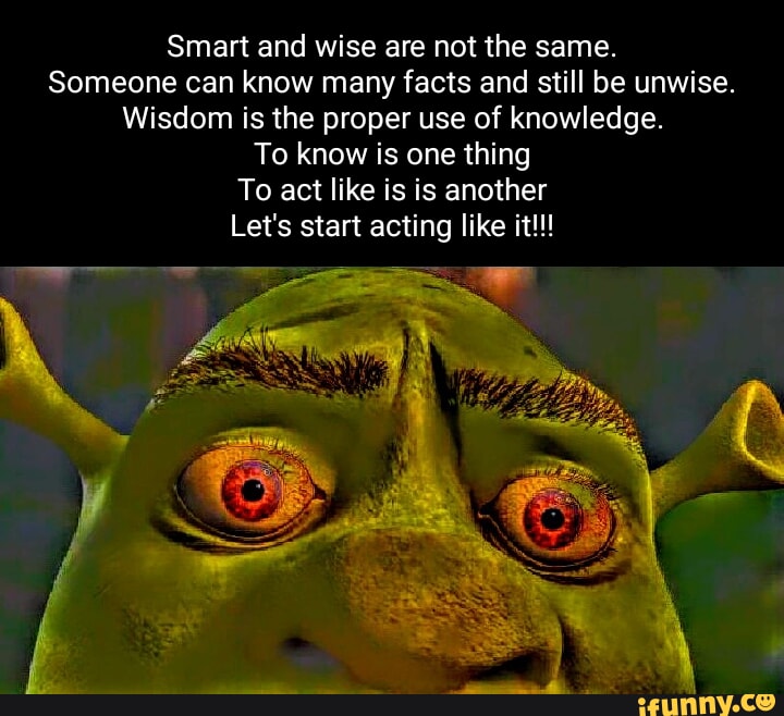 smart-and-wise-are-not-the-same-someone-can-know-many-facts-and-still