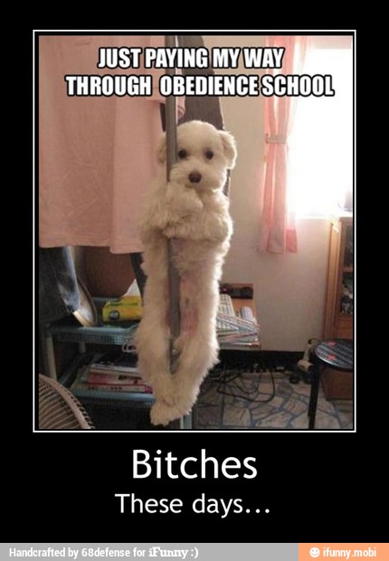 Bitches
These days... - Bitches
These days...