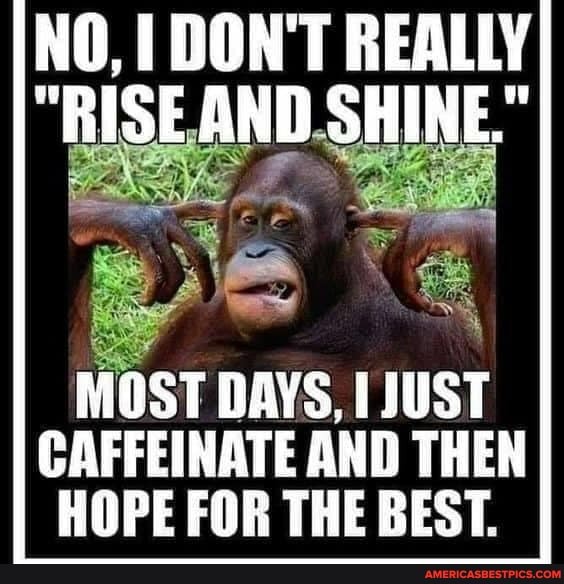 NO, I DON'T REALLY
"RISE AND SHINE."
MOST DAYS, JUST CAFFEINATE AND THEN HOPE FOR THE BEST.