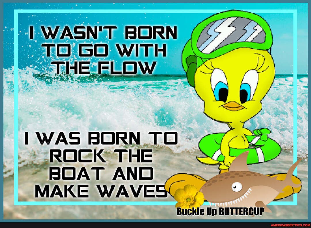WASN'T BORN 2
TOGO WITH
WAS BORN TO ROEK BOAT AND
MAKE WAVE of
Buckle Up BUTTERCUP