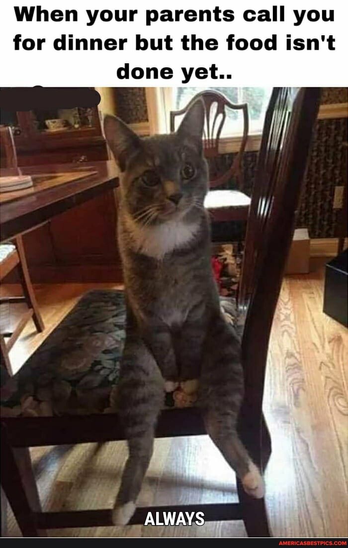 When your parents call you for dinner but the food isn't done yet..
ALWAYS