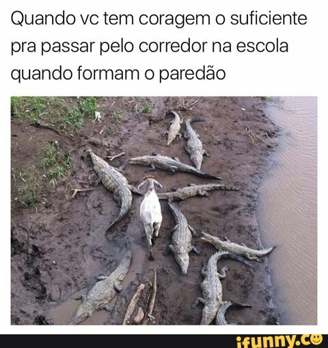 Quando vc tem coragem o suficiente
pra passar pelo corredor na escola
pi formam o paredão